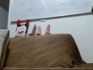 Live cam show with LITACAM30