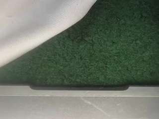suckitandseee