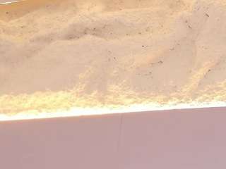 emma-kitty Sex Cam Show
