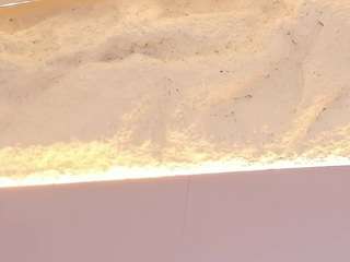 emma-kitty Sex Cam Show