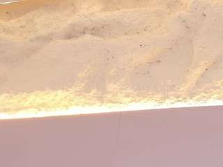 emma-kitty Sex Cam Show