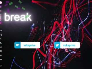 vekafaux webcam