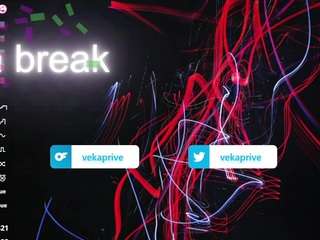 vekafaux webcam