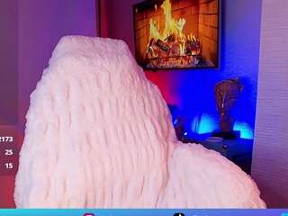 vekafaux webcam