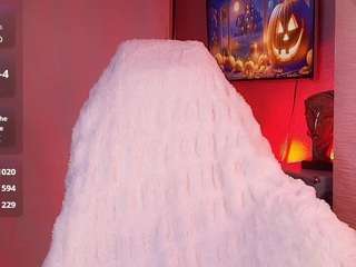 vekafaux webcam