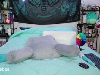 savethebea Live Webcam on CamSoda