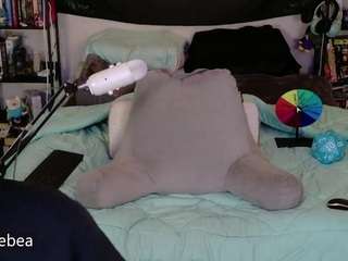 savethebea Live Webcam on CamSoda