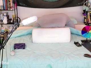 savethebea Live Webcam on CamSoda