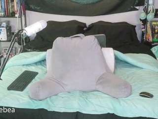 savethebea Live Webcam on CamSoda