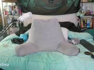 Live webcam model savethebea on Soda Cams