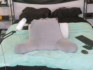 Live webcam model savethebea on Soda Cams