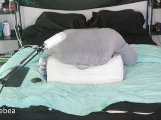 Live webcam model savethebea on Soda Cams