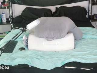 Live webcam model savethebea on Soda Cams