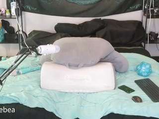 Live webcam model savethebea on Soda Cams