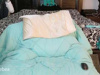 savethebea