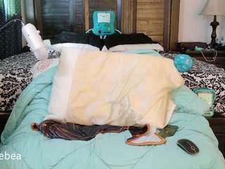 savethebea Sex Cam Show