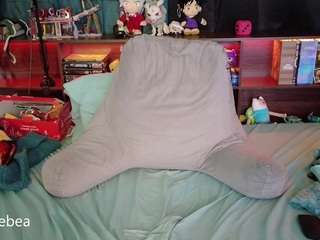 savethebea live webcam show