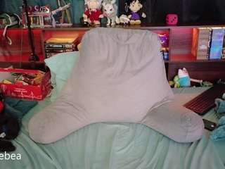 savethebea live webcam show