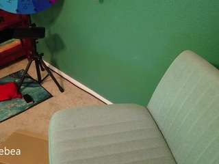savethebea