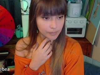 savethebea