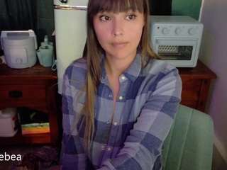 savethebea
