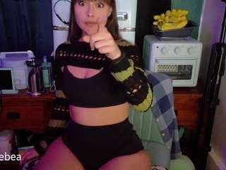 SaveTheBea live cam preview