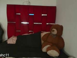 camilayceleste29 webcam