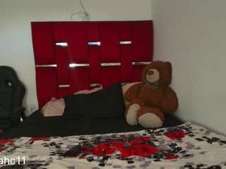 camilayceleste29 webcam