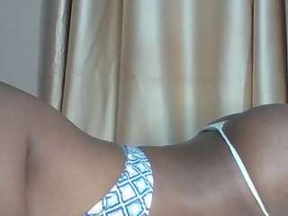 busty-bee