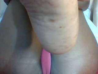 BUSTY-BEE
