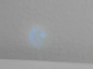 missfoxy95's Live Sex Cam Show