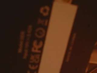 slamminsammy506 webcam model