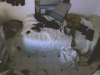 slamminsammy506 webcam