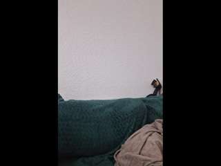 cyndeewinter from CamSoda is Freechat