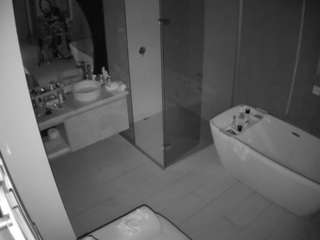 voyeurcam-casa-salsa-bathroom-2 camsoda Alaston Suomi 