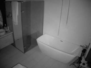 voyeurcam-casa-salsa-bathroom-2