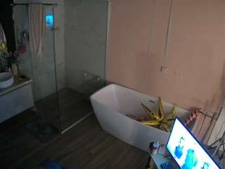 voyeurcam-casa-salsa-bathroom-2