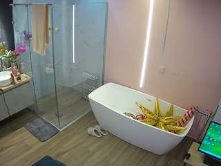 voyeurcam-casa-salsa-bathroom-2