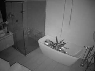 voyeurcam-casa-salsa-bathroom-2