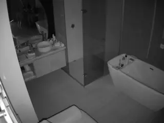 Casa Salsa Bathroom 2's Live Sex Cam Show