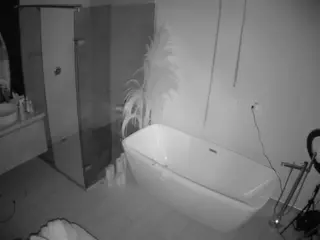 Casa Salsa Bathroom 2's Live Sex Cam Show