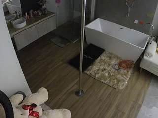 voyeurcam-casa-salsa-bathroom-3