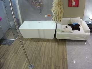 voyeurcam-casa-salsa-bathroom-3