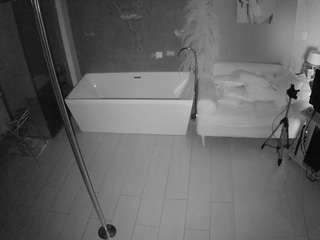 voyeurcam-casa-salsa-bathroom-3