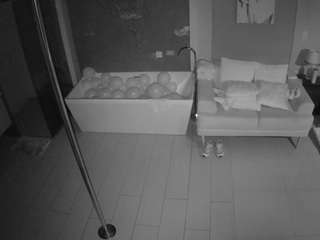 voyeurcam-casa-salsa-bathroom-3
