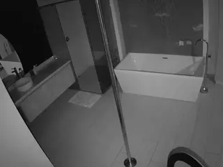 Casa Salsa Bathroom 3's Live Sex Cam Show