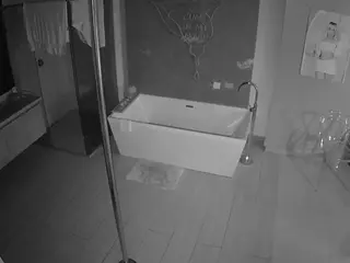 Casa Salsa Bathroom 3's Live Sex Cam Show
