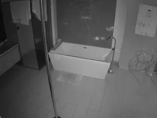 Casa Salsa Bathroom 3's Live Sex Cam Show