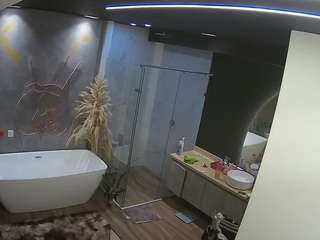 voyeurcam-casa-salsa-bathroom-4