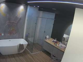 voyeurcam-casa-salsa-bathroom-4